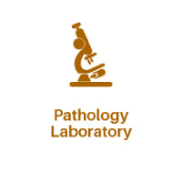 Pathology Laboratory