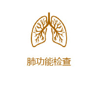 Pulmonary Lung Function Analysis